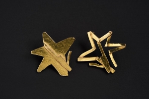 PKJWR023 earrings
